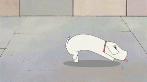 nichijou dog gif nichijou dog gif